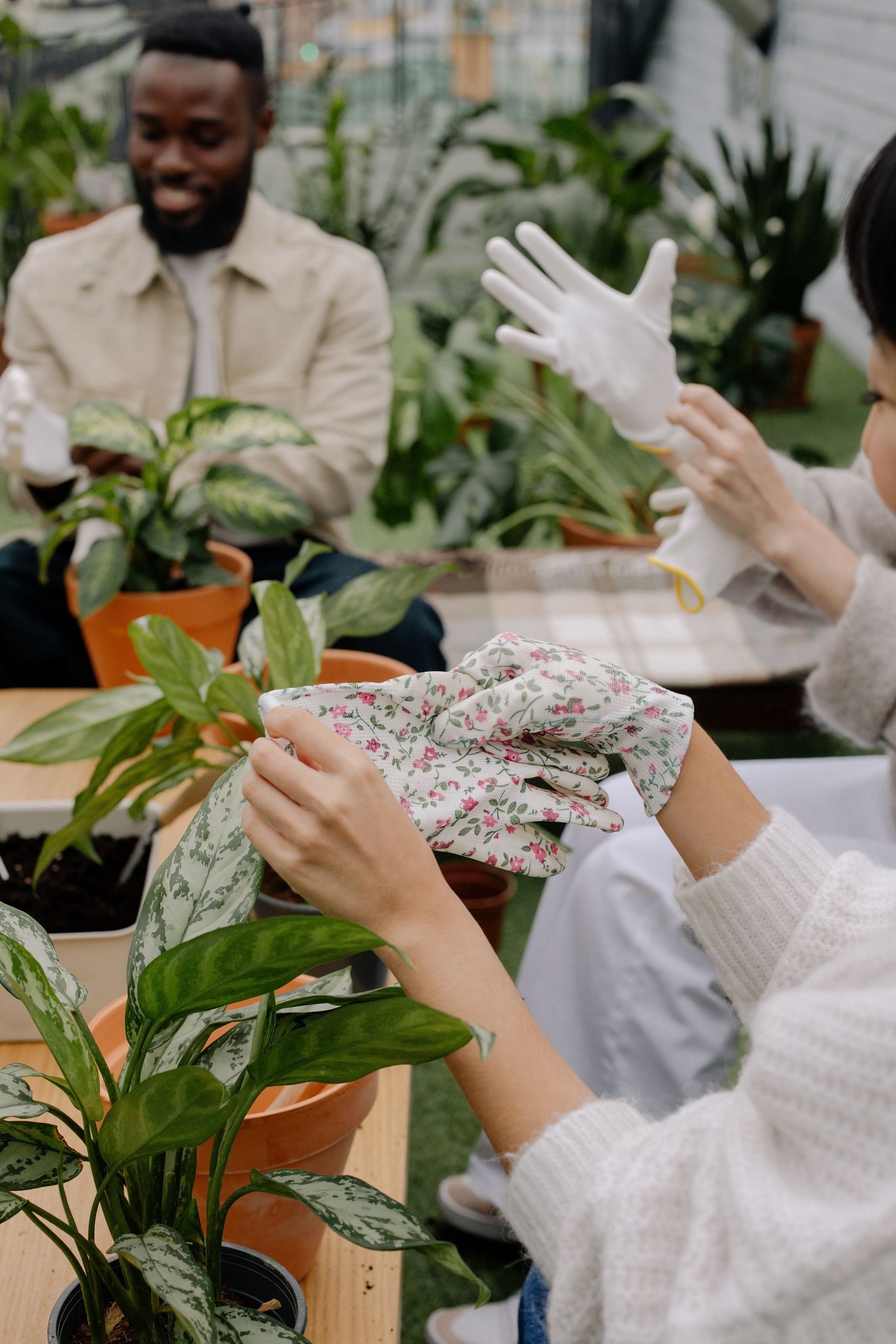 It's important to wear gloves while gardening(Image Via Pexels)